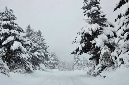 Vista de la nieve caída en el Puerto de las Señales (León).