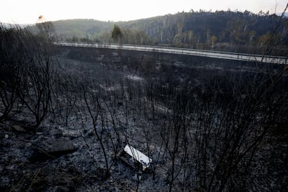 El monte calcinado en Verín, tras el incendio que ha dejado cerca de 500 hectáreas forestales quemadas.