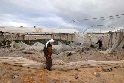 Agricultores palestinos inspeccionaban los daños en sus invernaderos después de que fueran bombardeados por Israel, este jueves en Rafah. 