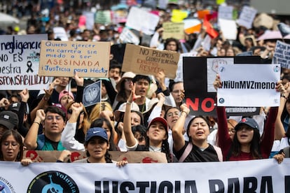 Los manifestantes gritaron consignas como ser veterinario no debera costarnos la vida, para exigir seguridad al Gobierno.