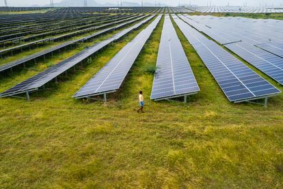 Paneles solares de células fotovoltaicas en el Parque Solar Pavagada, en Karnataka (India).