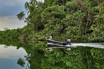 Camboya celebra casi dos décadas de paz y se prepara para convertirse en un destino turístico de primer orden. Casi todos los viajeros que viajan hoy a Camboya lo hacen para visitar <a href="https://elviajero.elpais.com/elviajero/2018/12/27/actualidad/1545915884_488584.html" target="_blank">los templos de Angkor Wat.</a> Es la joya del país, la octava maravilla del mundo y uno de los lugares de la tierra con mayor concentración de mochileros por metro cuadrado, como puede verse en las calles de Siem Reap, el centro logístico para ver Angkor. El atractivo de esta maravilla no ha cambiado, pero Camboya sí que lo hace y de forma muy rápida.<br></br> En la capital Phnom Penh crecen los hoteles, los bares en azoteas y los restaurantes de diseño, en una ciudad que siempre ha presumido de su vida nocturna, sobre todo junto al río. En el sur, las islas se transforman gracias a nuevos 'resorts boutique' y de lujo y en ciudades como Battambang o Kampot se recuperan los vestigios de la época colonial. Los viajeros pueden ahora descubrir zonas más remotas, como Koh Kong y Mondulkiri, en las que la observación de fauna permite salirse de las rutas más turísticas. En todo este cambio está jugando un papel muy decisivo la aparición de nuevas líneas aéreas con vuelos entre Siem Reap y la costa sur, con hidroplanos que llevan directamente a los pasajeros hasta las islas. Y con todo ello, Camboya sigue siendo un país mucho más reposado y menos turístico que sus vecinas Tailandia y Vietnam, un lugar donde se conserva la cultura tradicional y un espíritu muy particular. <br></br> En la imagen, el parque nacional Cardamom, en la provincia de Koh Kong (Campoya).