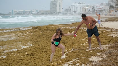 Turistas caminan en una playa con sargazo en Cancún, México, el 4 de junio 2025.