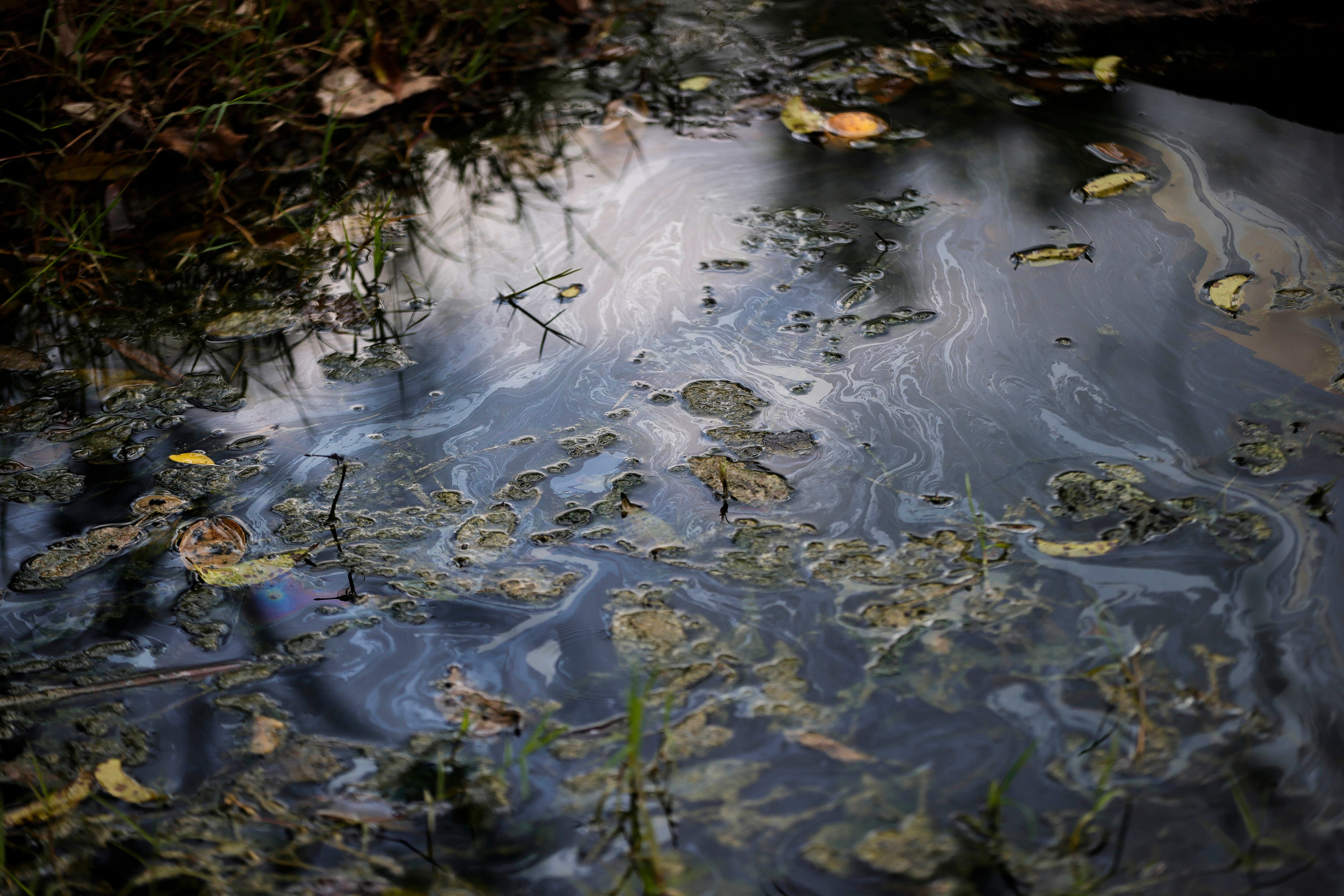 Agua de un riachuelo contaminada con aceite en Papantla (Veracruz).