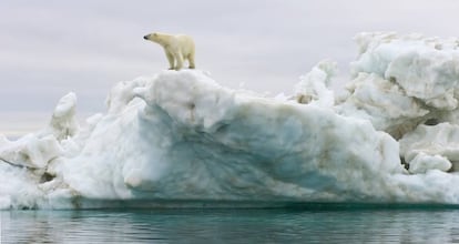 La temperatura del planeta se incrementa con el cambio clim&aacute;tico en dos grados cada siglo.  &nbsp;