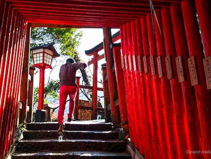 25 curiosidades de Japón que te gustará conocer