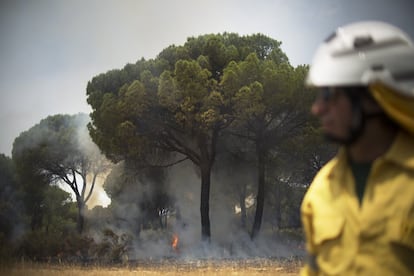 Un miembro del Infoca, en el incendio forestal.