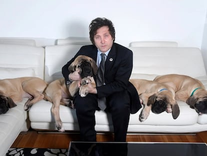 Milei’s cloned dogs