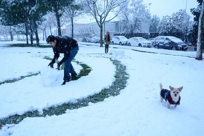 Una pareja juega con su perro en un parque nevado de Lleida