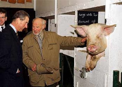 En la imagen, el Príncipe Carlos durante su visita a la granja.