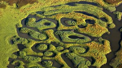 Vista aérea de la tundra en la península de Yamal, en Rusia.  