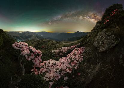 'Blossom'. Flores que resisten en la montaña Hehuanshan, en Taiwán, mientras el sol se esconde en el primer parque Dark Sky del país. Esta reserva natural despliega un cielo estrellado, lejos de la contaminación lumínica, y ofrece cielos nocturnos naturalmente oscuros perfectos para los amantes de la astronomía.
