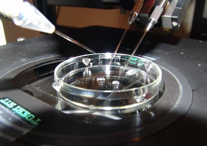 IVF treatments have created large amounts of leftover embryos.