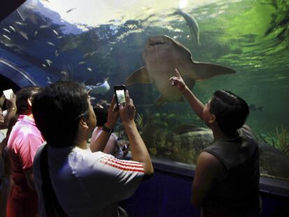 visitantes al acuario de Veracruz