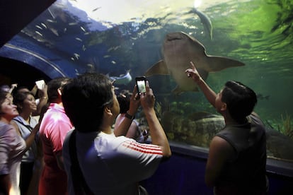 visitantes al acuario de Veracruz