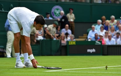 Djokovic juguetea con un p&aacute;jaro en la central.