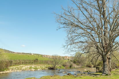 Senda de las Pesquerías Reales, en Valsaín.
