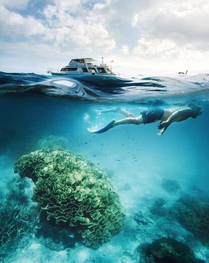 Gran Barrera de Coral, Australia.