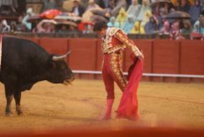 Torero El Juli.