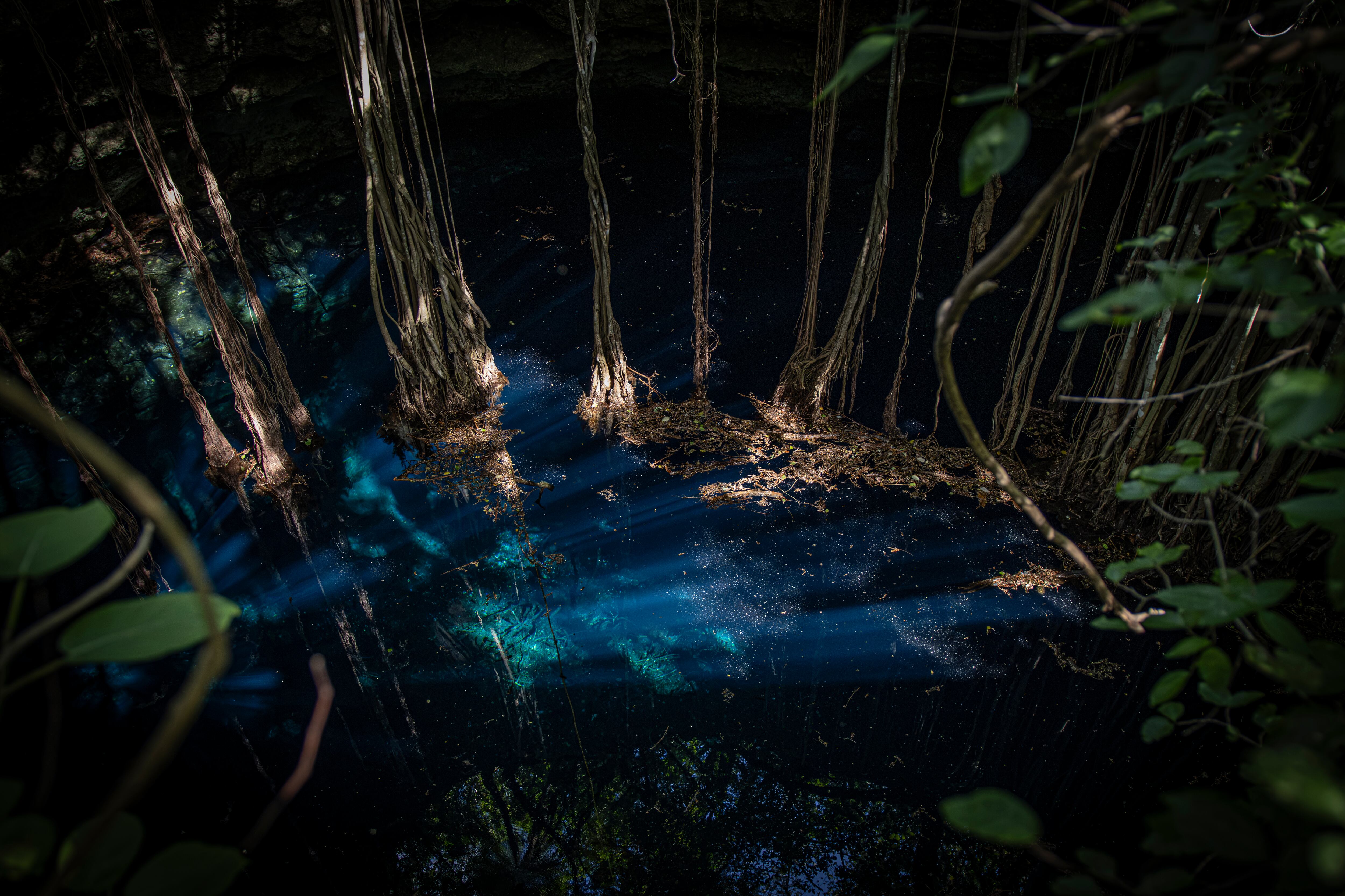 Cenote virgen ubicado en Molas (Yucatán), el 5 de agosto.