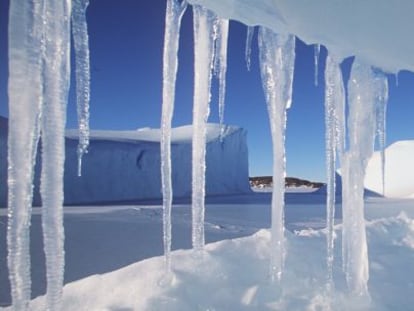 Agricultura destapa una red de pesca ilegal en la Antártida