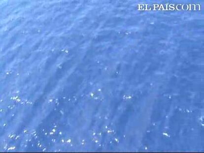 Los vertidos de Repsol en el Mediterráneo (IV)