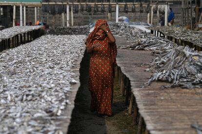 Una mujer refugiada Rohingya camina por el patio de secado de pescado de Nazirartek donde trabaja, en Cox's Bazar (Bangladesh)