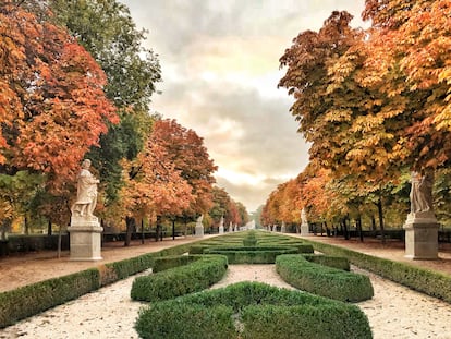 El paseo de Argentina en el parque del Retiro de Madrid en otoño.