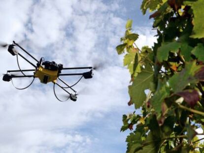 Imagen de un dron volando en Pessac, Francia.