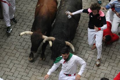 Toros de la ganadería de Núñez del Cuvillo durante el séptimo encierro de los Sanfermines 2016.