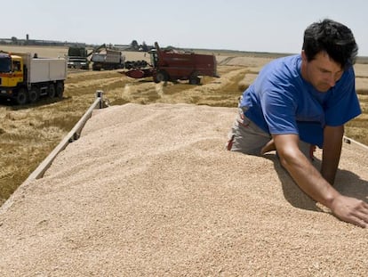 Un camionero trabaja en un campo de trigo cerca de Giurgiu (Rumania).