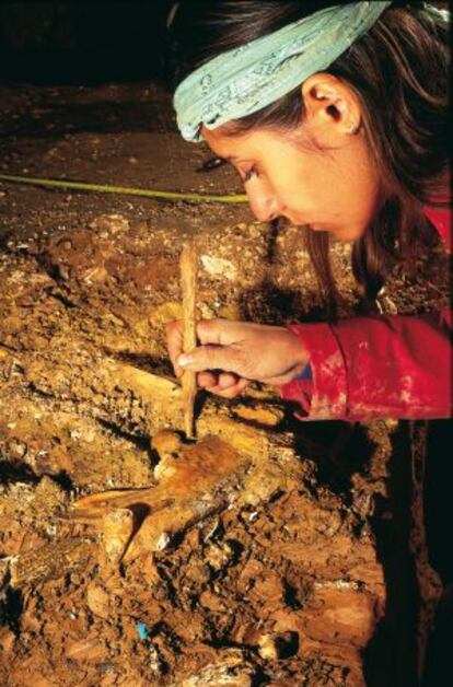 La paleontóloga Nuria García extrae un fósil en la Sima de los Huesos del yacimiento de Atapuerca (Burgos).
