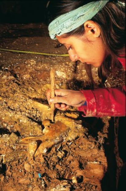 La paleontóloga Nuria García extrae un fósil en la Sima de los Huesos del yacimiento de Atapuerca (Burgos).