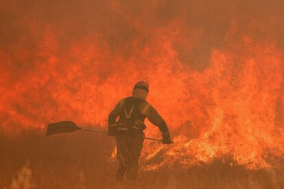 Un bombero en Pumarejo (Zamora), durante el incendio de la sierra de la Culebra, el pasado 18 de junio.