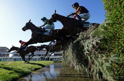 Grand National caballos