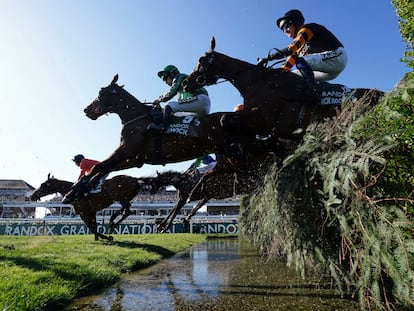 Grand National caballos