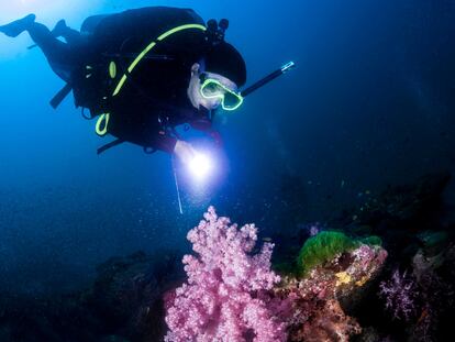 Un accesorio perfecto para ver mejor debajo del agua. GETTY IMAGES.