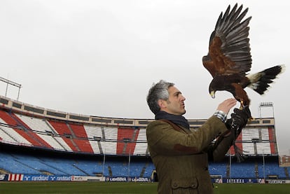 Jorge Castaño, con su águila <i>Bárbara</i> en el Vicente Calderón.