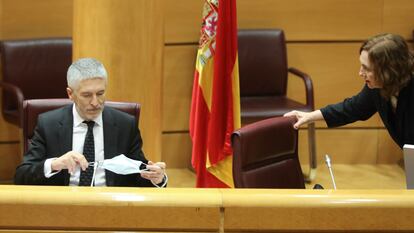 Interior Minister Fernando Grande-Marlaska in the Senate last week.
