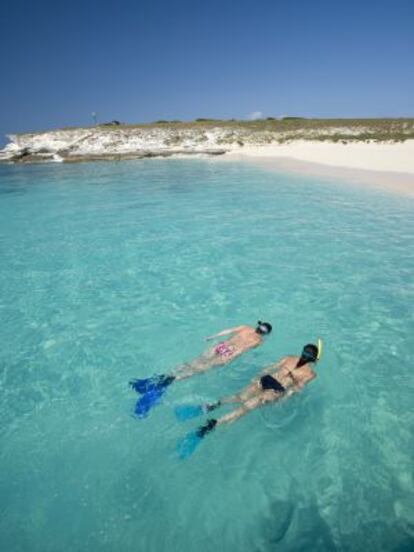 Dos bañistas haciendo snorkel en Key Largo, en Florida (EE UU).