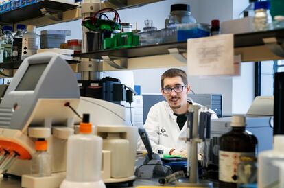 El genetista Íñigo Olalde, en su laboratorio de la Universidad del País Vasco, en Vitoria.