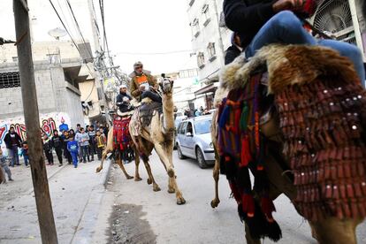 Los jinetes beduinos desfilan con sus camellos durante una boda por las calles de la ciudad, el 15 de febrero de 2019. Las familias contratan a los camellos para entretener a los invitados durante las celebraciones, que a menudo se convierten en un espectáculo para todo el vecindario. 
