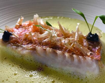 SALMONETE CON SUS ESCAMAS DE PETER KNOGL / CAPEL