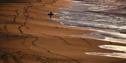 People walk along the beach as a surfer holding his board looks at the waves on Merewether Beach in Newcastle, located north of Sydney, Australia August 13, 2018.    REUTERS/David Gray      TPX IMAGES OF THE DAY