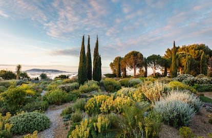 El jardín experimental y vivero en Mèze, sur de Francia, de Clara y Olivier Filippi, pioneros en el uso y cultivo de plantas mediterráneas para jardín seco.
Fotografía: Claire Takacs.