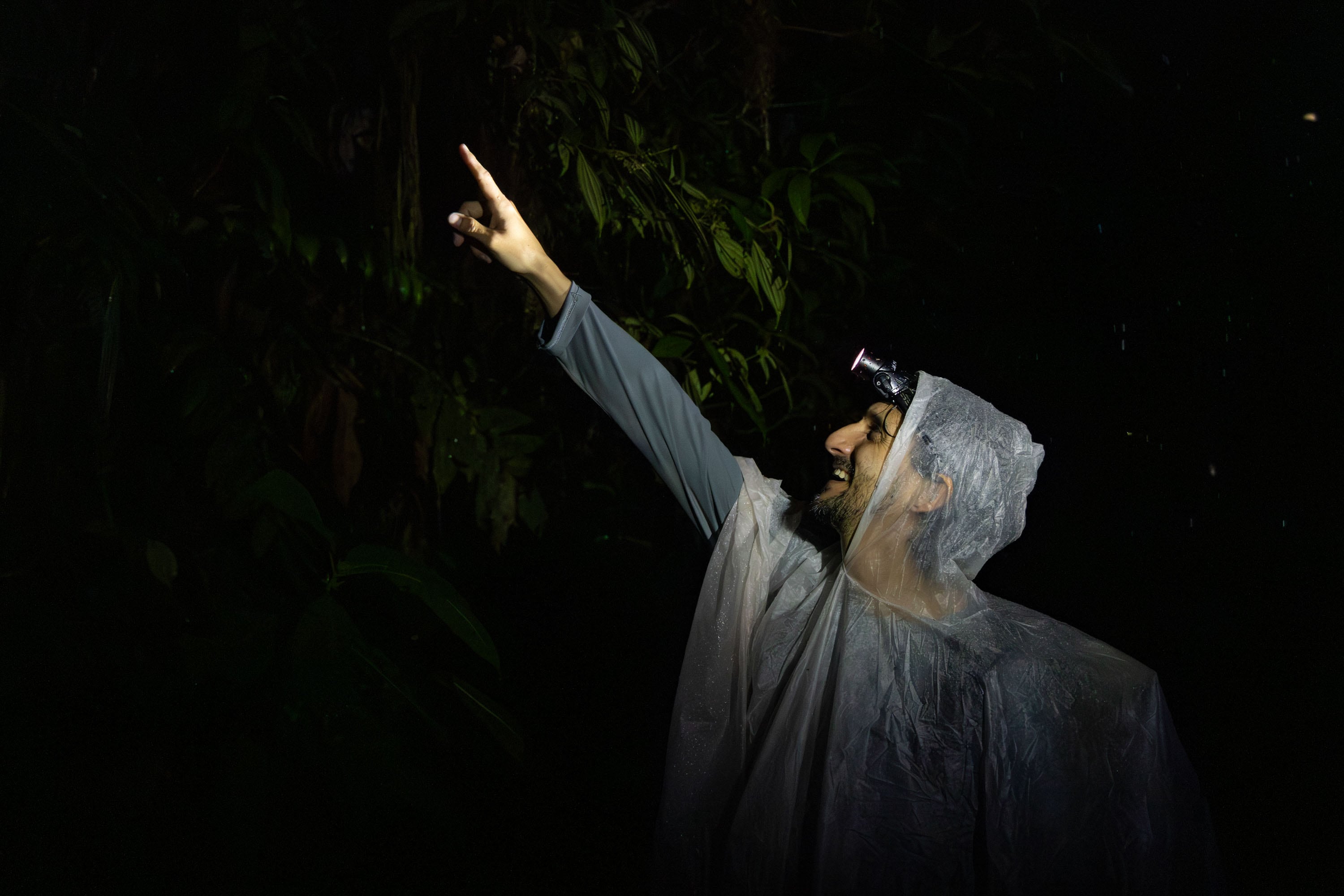 Gustavo Pazmiño, biólogo y gerente de naturaleza de la Fundación Futuro, busca pequeños animales durante una excursión nocturna. 