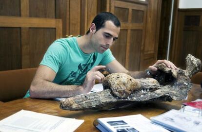 Ismael Mij&aacute;n, investigador de la Sociedade Galega de Historia Natural, con uno de los f&oacute;siles. 