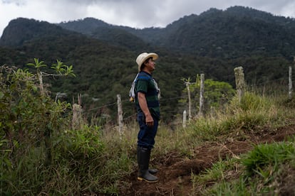 José Bolaños camina por uno de los senderos del parque nacional. Al fondo, un nuevo bosque que solía ser un potrero para sus vacas.