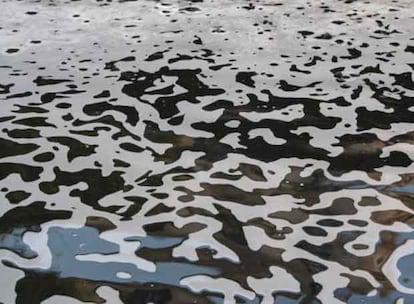 En torno a las fuentes de Callao y de plaza de España, en las que a primera hora de la tarde era visible todavía el agua de color negro, se encontraron también pintadas de apoyo a los okupas de Embajadores con frases como "no más desalojos", unos actos de los que nadie se ha responsabilizado.