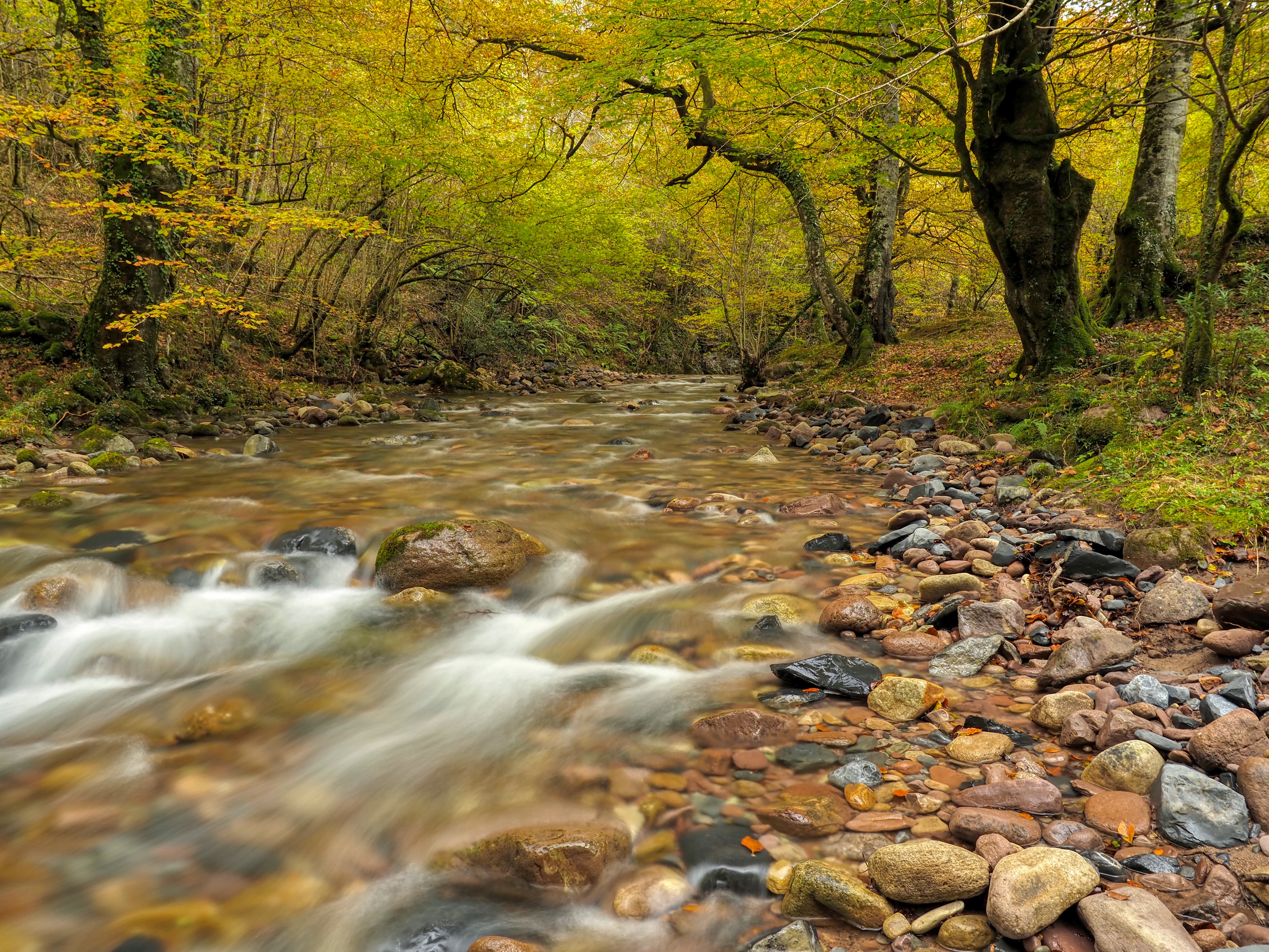 Paisaje otoñal en el parque natural Saja-Besaya (Cantabria).